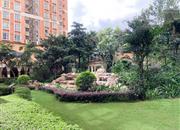 海悦华城-环境绿化