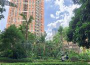 海悦华城-环境绿化