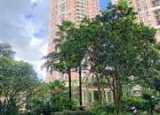 海悦华城-环境绿化