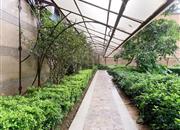 海悦华城-环境绿化