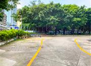 景园大厦-环境绿化