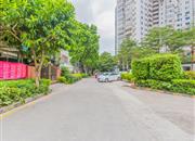 京光海景花园-环境绿化