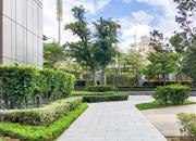 万科云城(三期)-环境绿化