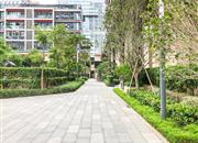 万科云城(三期)-环境绿化