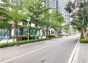 万科云城(三期)-基础设施