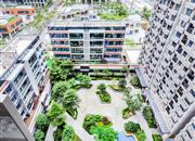 万科云城(三期)-俯瞰图