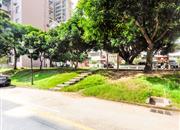 学城绿园-环境绿化