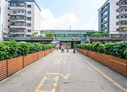 华富市场（华富商住楼）-环境绿化