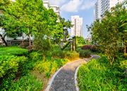 莲花二村-环境绿化