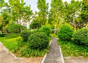 莲花二村-环境绿化