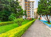 莲花二村-环境绿化