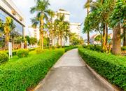 美莲大厦-环境绿化