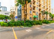 美莲大厦-环境绿化