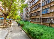 竹园小区南区-环境绿化