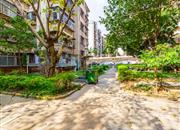 竹园小区南区-环境绿化