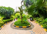 国泰豪园-环境绿化