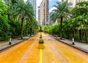 四季山水花园（二期）-环境绿化