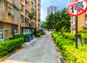 振业花园-环境绿化