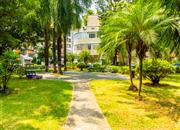 振业花园-环境绿化