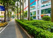 鲁班大厦-环境绿化