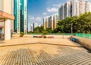 鲁班大厦-环境绿化