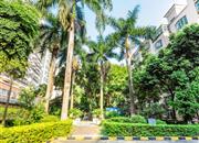 众冠花园（二期）-环境绿化