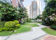 半山半海-环境绿化