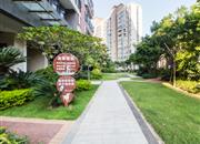 半山半海-环境绿化