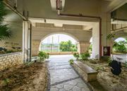 峰度天下-环境绿化