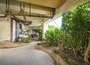 峰度天下-环境绿化