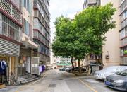 中建二公司住宅楼-环境绿化