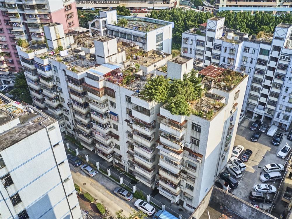 罗湖公安分局新秀村