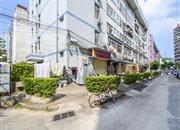 罗湖公安分局新秀村-环境绿化