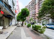 罗湖公安分局新秀村-环境绿化