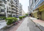 罗湖公安分局新秀村-环境绿化