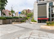 靖轩豪苑-环境绿化