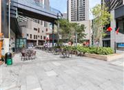 靖轩豪苑-环境绿化