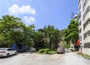 罗芳苑-环境绿化