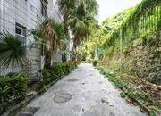 罗芳苑-环境绿化