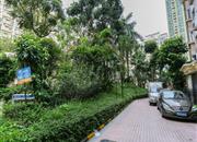 都市花园-环境绿化