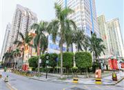 皇城广场-环境绿化