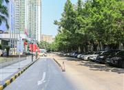 皇城广场-环境绿化