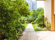 鲸山觐海-环境绿化