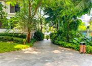 南海玫瑰园（二期）-环境绿化