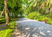 南海玫瑰园（二期）-环境绿化