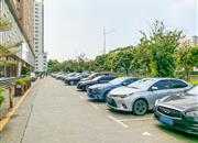 世纪广场-环境绿化