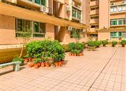 世纪广场-环境绿化