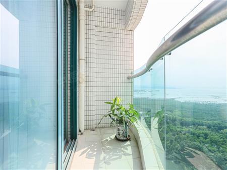 金海湾花园-阳台