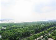 金海湾花园-其他