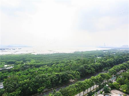 金海湾花园-其他